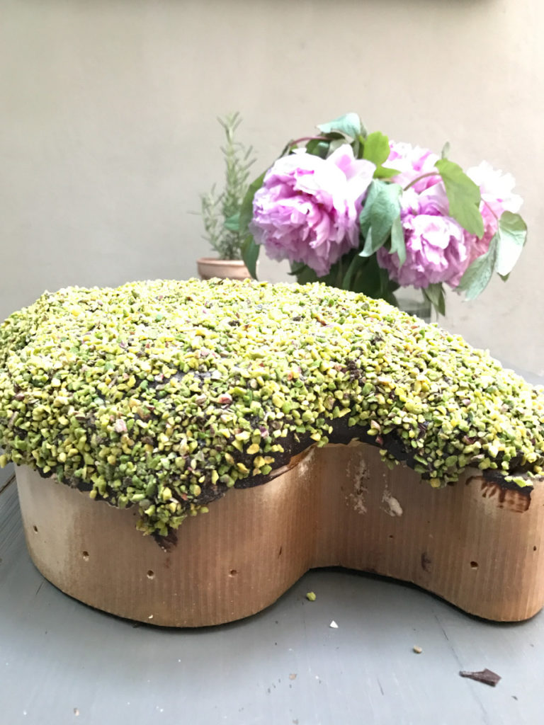 Colomba ricoperta di Cioccolato fondente con pistacchio